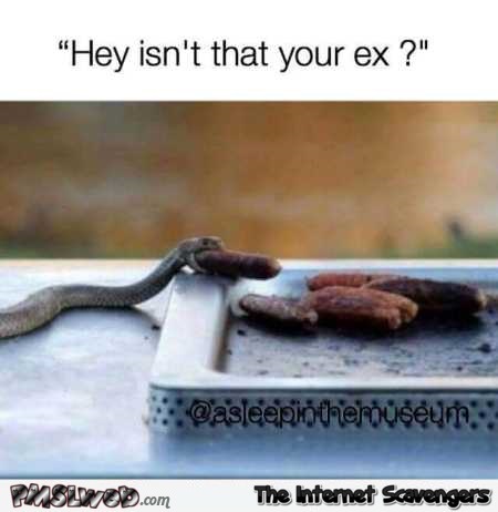 Isn’t that your ex snake humor – Monday YLYL pictures @PMSLweb.com