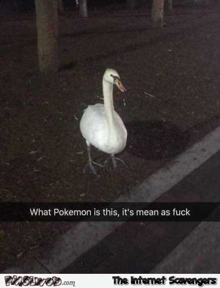 Funny what Pokemon is this – Pokemon Go funny pictures @PMSLweb.com