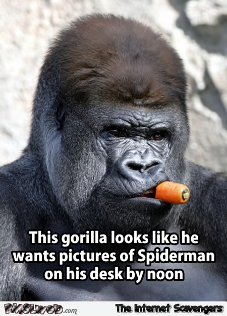Gorilla looks like James Jonah Jameson @PMSLweb.com