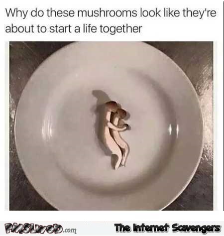 Mushrooms look like they-re gonna spend their life together @PMSLweb.com