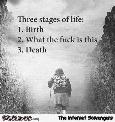 Three stages of life sarcastic humor @PMSLweb.com