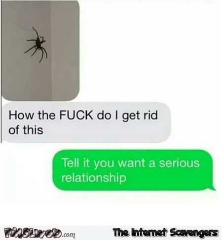 How to get rid of a spider funny text message @PMSLweb.com