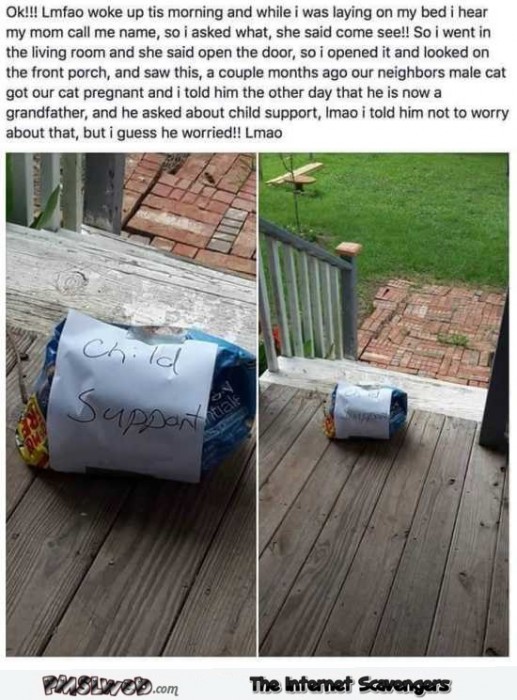 Funny child support package