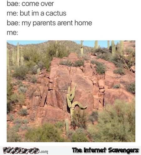 Funny come over my parents aren’t home cactus edition @PMSLweb.com