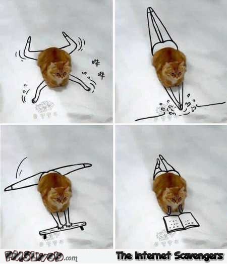 Funny cat art @PMSLweb.com