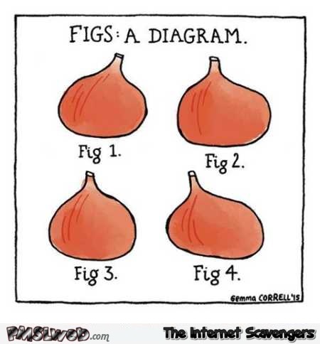 Funny figs diagram @PMSLweb.com