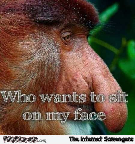 Funny adult proboscis monkey meme @PMSLweb.com