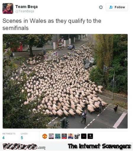 Scenes in Wales as they qualify for the semifinals funny tweet @PMSLweb.com