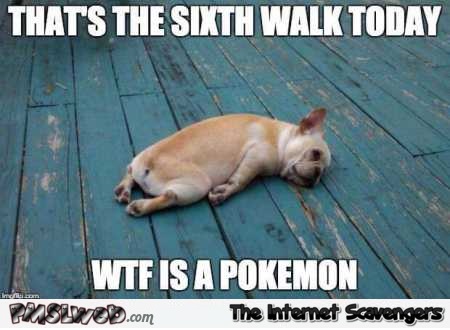 Walking the dog to play Pokemon Go funny meme @PMSLweb.com