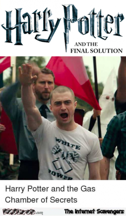 Harry Potter and the final solution humor
