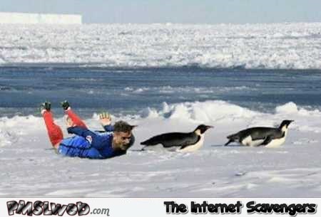 Griezmann sliding with the penguins funny photoshop @PMSLweb.com