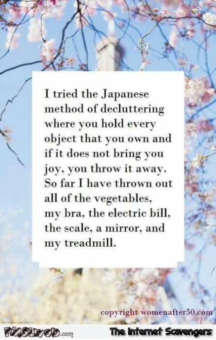 I tried the Japanese method of decluttering funny quote