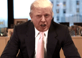 What to do with Trump funny gif @PMSLweb.com