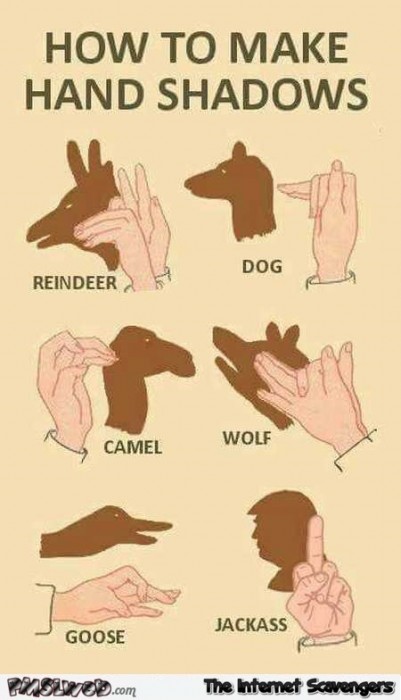 How to make hand shadows Trump humor