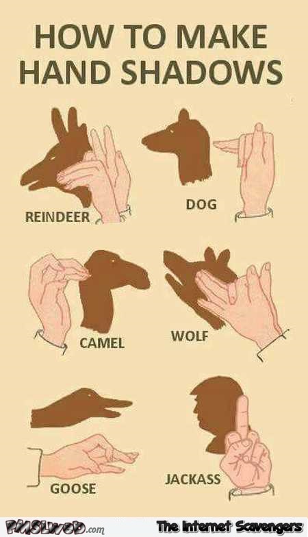 How to make hand shadows Trump humor @PMSLweb.com