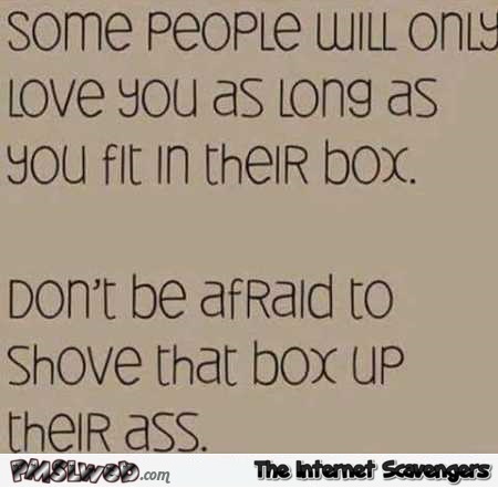 Some people only love you as long as you fit in their box sarcastic quote @PMSLweb.com