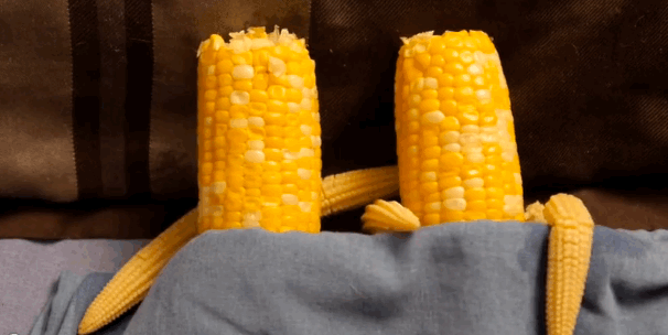 Naughty corn in bed humor – Funny Sunday picture gallery @PMSLweb.com