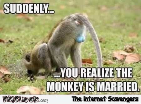 You realize the monkey is married funny meme � Funny daily picture dump @PMSLweb.com