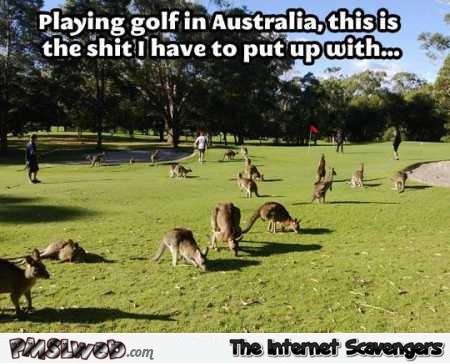 Playing golf in Australia funny meme @PMSLweb.com