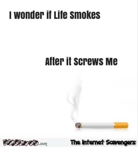 I wonder if life smokes after it screws me humor @PMSLweb.com