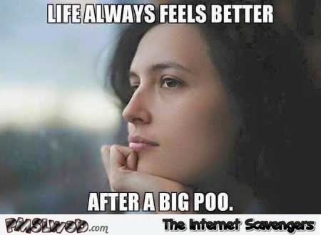 Life always feels better after a big poo funny meme – Laugh out loud pictures @PMSLweb.com