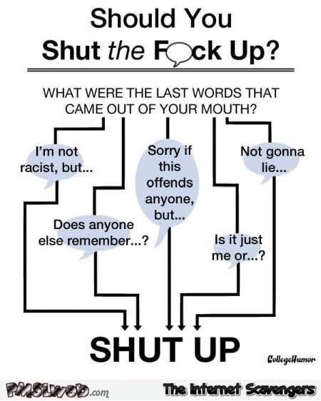 Should you shut the fuck up flowchart sarcastic humor – Funny pictures of the day @PMSLweb.com