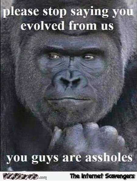 Stop saying you evolved from us sarcastic Gorilla meme @PMSLweb.com
