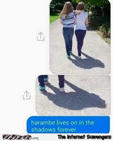 Harambe lives on in the shadows forever funny text @PMSLweb.com