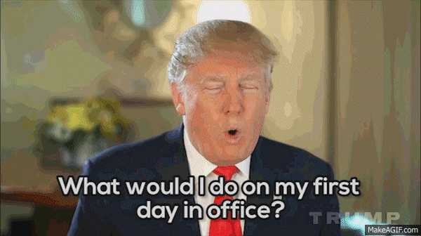What Trump would do on his first day in office humor – Friday YLYL @PMSLweb.com
