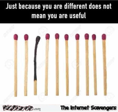 Funny just because you’re different doesn’t mean you’re useful