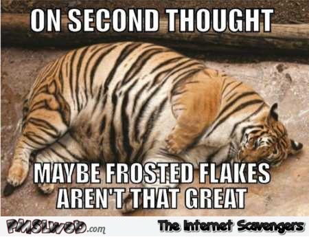 Maybe frosted flakes aren’t that great funny meme