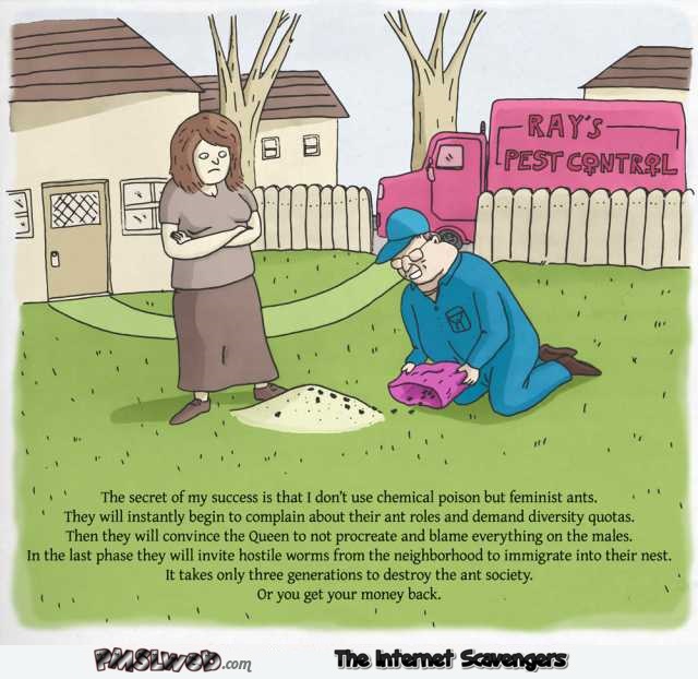 Pest control uses feminist ants funny cartoon - Friday YLYL @PMSLweb.com