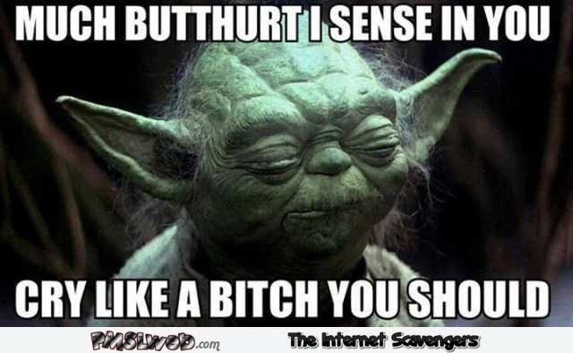Much butthurt I sense in you Yoda meme @PMSLweb.com