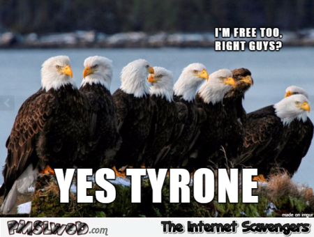You are free too Tyrone funny meme @PMSLweb.com