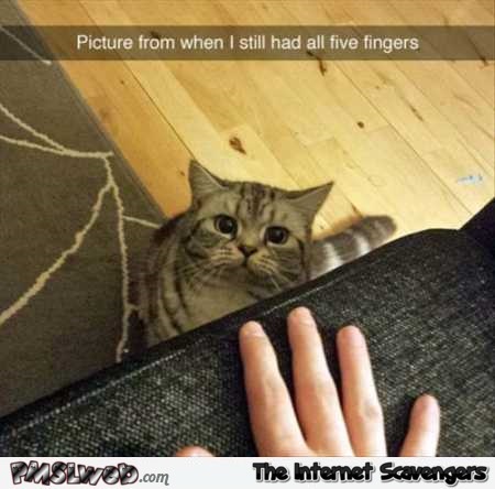 When I still had all 5 fingers cat humor @PMSLweb.com