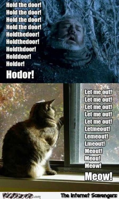 Hodor versus meow funny meme