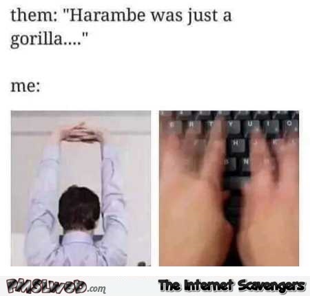 Harambe was just a gorilla dank meme @PMSLweb.com