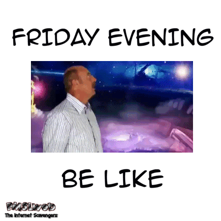 Friday evening be like gif - Funny Friday nonsense @PMSLweb.com