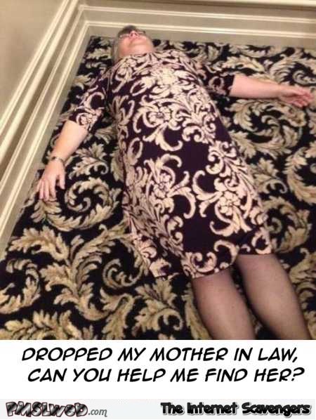 I dropped my mother in law on the floor funny meme @PMSLweb.com
