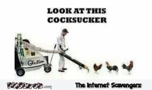 Look at this cock sucker adult humor @PMSLweb.com
