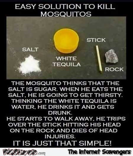 Funny solution to kill mosquitoes @PMSLweb.com