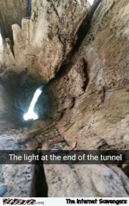 The light at the end of the tunnel adult humor – Funny Friday nonsense @PMSLweb.com