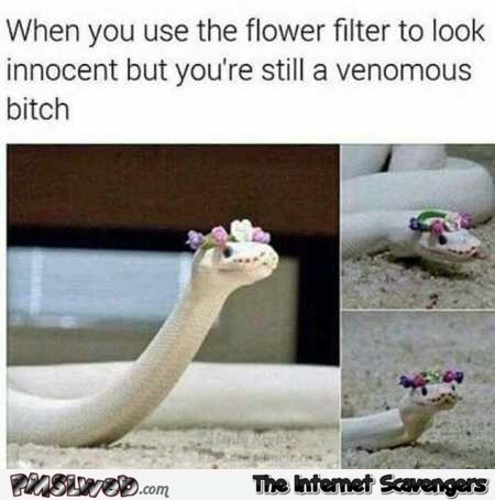 When you use the flower filter to look innocent funny meme @PMSLweb.com