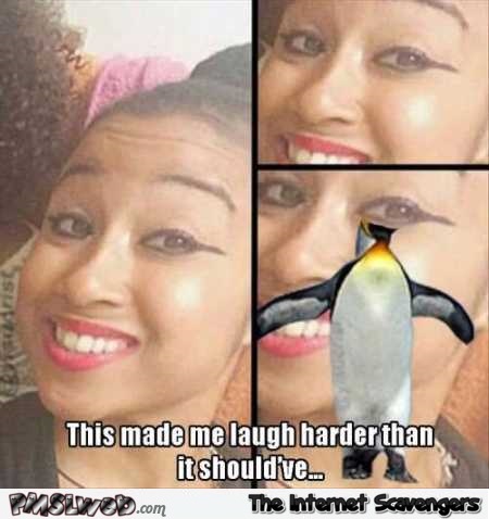 Funny penguin makeup meme @PMSLweb.com