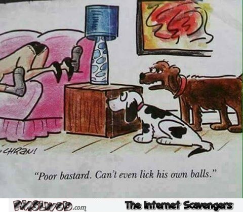 He can’t even lick his own balls funny dog cartoon @PMSLweb.com