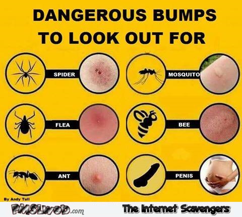 Funny dangerous bumps chart @PMSLweb.com