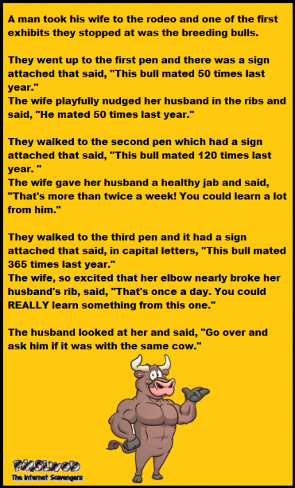 A man took his wife to the rodeo funny joke