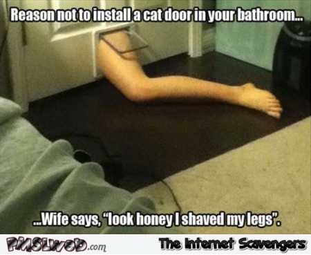 Do not install a cat door in your bathroom funny meme @PMSLweb.com
