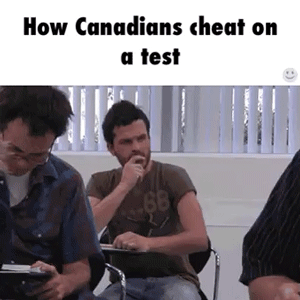 How Canadians cheat on a test gif @PMSLweb.com