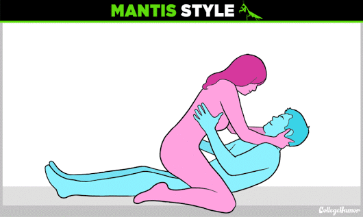 Funny mantis style position @PMSLweb.com